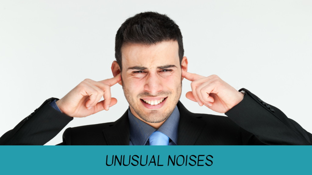 UNUSUAL NOISES